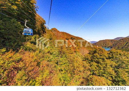 Naeba Plateau Autumn from Dragondola 132712362