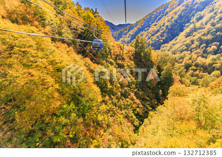 Naeba Plateau Autumn from Dragondola 132712385