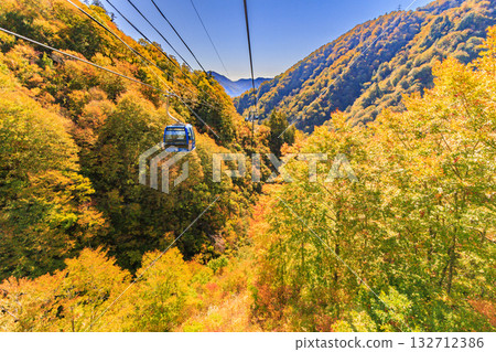 Naeba Plateau Autumn from Dragondola 132712386