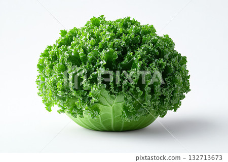 Large head of green lettuce sits on a white background 132713673