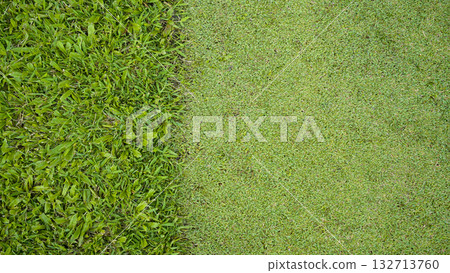 Green grass background, top view background of garden bright grass concept used for making green backdrop Green grass background, top view background of garden bright grass concept used for making green backdrop 132713760
