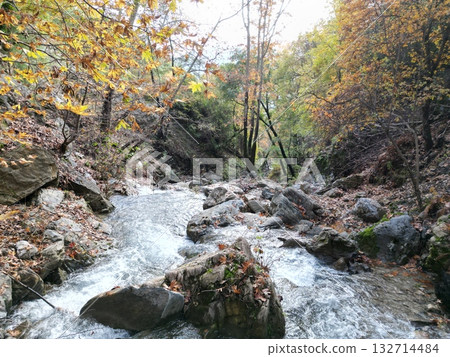 mountain river fast for waterfall rapids stream autumn. High quality photo 132714484