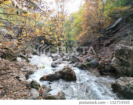 mountain river fast for waterfall rapids stream autumn. High quality photo 132714505