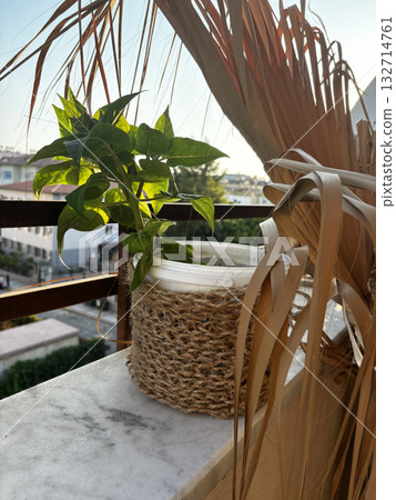 open balcony flower in pot close up decor. High quality photo open balcony flower in pot close up decor. High quality photo 132714761