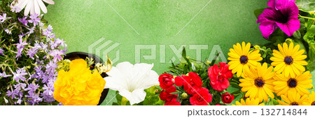 A beautiful collection of spring flowers decorates a balcony or terrace, creating a lively and cheerful atmosphere. Various colors and types of flowers bring joy to the space., banner A beautiful collection of spring flowers decorates a balcony or terrace, creating a lively and cheerful atmosphere. Various colors and types of flowers bring joy to the space., banner 132714844
