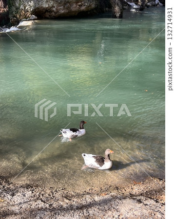 Rugged rocky landscape, Rocky landscape Rugged rocky landscape, Rocky landscape 132714931