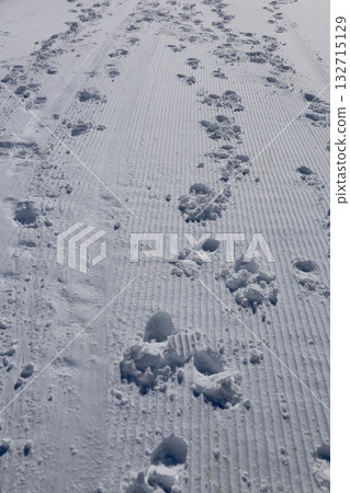 Footprints of dreams path. High quality photo 132715129