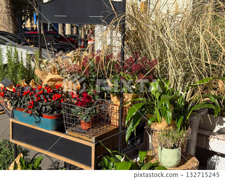 Street flower stand with potted plants and dry bouquets. Autumn textures, eco aesthetics and natural market ambience. Street flower stand with potted plants and dry bouquets. Autumn textures, eco aesthetics and natural market ambience. 132715245