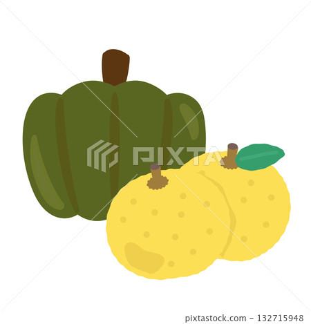 Pumpkin and yuzu illustration 132715948