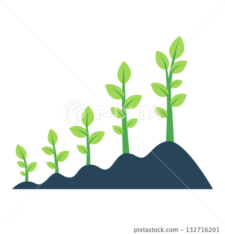 Plant Growth Stages. Seedling to Mature Plant Flat Vector Plant Growth Stages. Seedling to Mature Plant Flat Vector 132716201