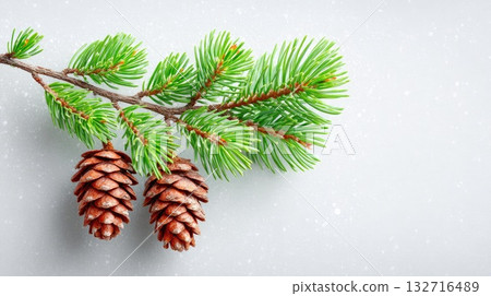 Pine branch with cones and snow winter composition close up Pine branch with cones and snow winter composition close up 132716489