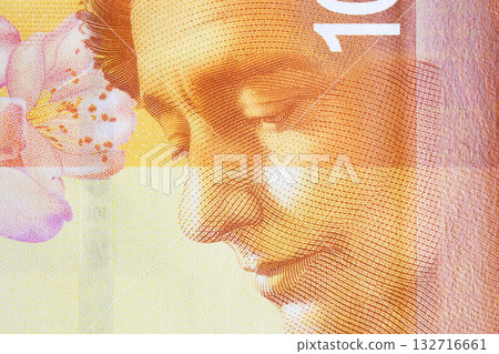 Leah Goldberg a closeup portrait from Israeli money 132716661