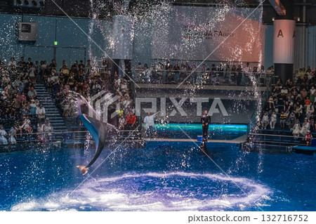 Shinagawa Dolphin Show (Big Jump) Shinagawa Dolphin Show (Big Jump) 132716752