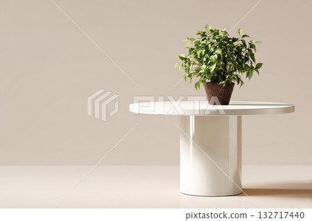 Modern White Table With a Potted Plant in a Minimalistic Setting 132717440