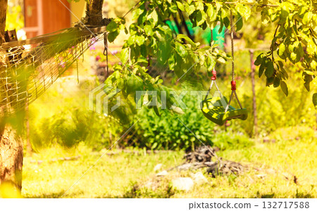 Plastic swing and hammock in garden 132717588