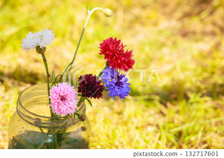 Picked cornflowers in glass outdoor 132717601