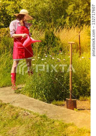 woman watering plants in garden woman watering plants in garden 132717607