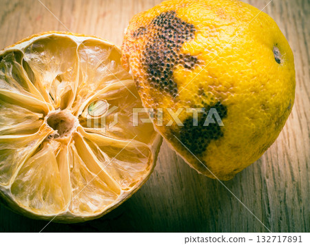 closeup old rotten lemon closeup old rotten lemon 132717891