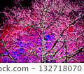 Glowing tree 132718070