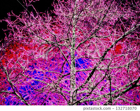 Glowing tree 132718070