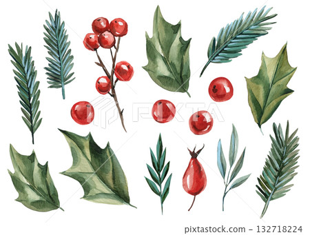 Watercolor holly leaves pine branches and red berries botanical winter illustration for festive natural decor and seasonal design Watercolor holly leaves pine branches and red berries botanical winter illustration for festive natural decor and seasonal design 132718224