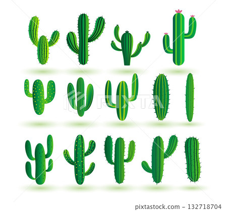 collection of wild and dry cactus plant background design 132718704