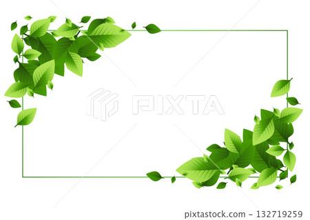 herbal and fresh green leaves frame with text space design herbal and fresh green leaves frame with text space design 132719259