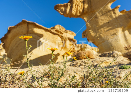 Sandstone formations Bolnuevo, Spain 132719309
