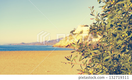 Bolnuevo Beach, Murcia Spain 132719311