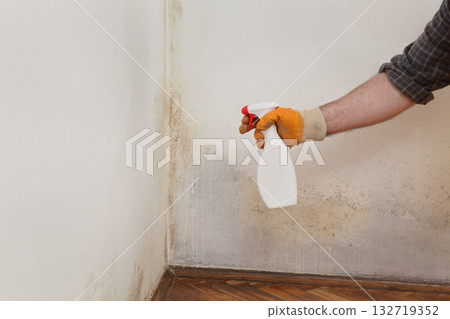 Worker cleaning mold from wall Worker cleaning mold from wall 132719352