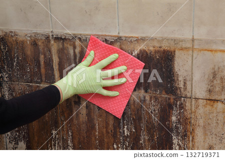 Female cleaning dirty tiles of bathroom wall Female cleaning dirty tiles of bathroom wall 132719371