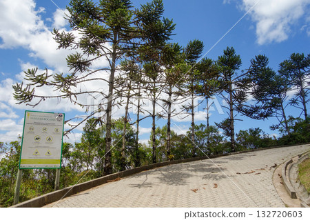 trail to Pedra da Macela peak, in Serra do Mar mountain range, on border between states of Sao Paulo and Rio de Janeiro, Brazil trail to Pedra da Macela peak, in Serra do Mar mountain range, on border between states of Sao Paulo and Rio de Janeiro, Brazil 132720603