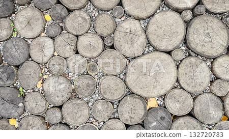 Top-down view of a rustic log slice path texture with circular wood grain patterns and small gravel 132720783
