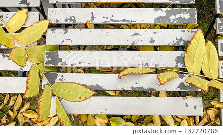 Top-down view of peeling white metal slats with bright yellow autumn leaves and strong texture contrast Top-down view of peeling white metal slats with bright yellow autumn leaves and strong texture contrast 132720786