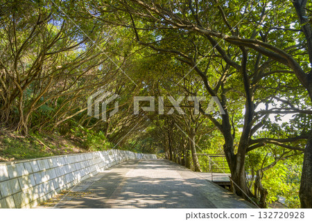 Yehliu Geopark, Taiwan 132720928