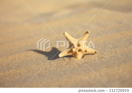 A single, pale starfish rests on textured sand, bathed in warm sunlight with subtle shadows and soft bokeh. Concept of beach, vacation, and nature. A single, pale starfish rests on textured sand, bathed in warm sunlight with subtle shadows and soft bokeh. Concept of beach, vacation, and nature. 132720959