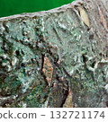 Abstract media mix background 132721174