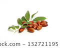 Acorns on white background 132721195