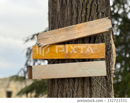 Wooden planks nailed to tree trunk. Rustic navigation symbol, handmade craft, and nature-inspired design. Copy space Wooden planks nailed to tree trunk. Rustic navigation symbol, handmade craft, and nature-inspired design. Copy space 132721531