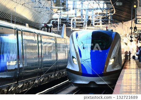 新幹線 新幹線進入東京月台 新幹線 新幹線進入東京月台 132721689