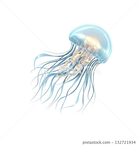 Translucent Jellyfish Illustration. Marine Life And Oceanic Beauty. Isolated On Transparent Background Translucent Jellyfish Illustration. Marine Life And Oceanic Beauty. Isolated On Transparent Background 132721934