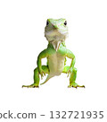 Green Lizard. Exotic Reptile Displaying Vibrant Colors And Unique Texture. Isolated On Transparent Background 132721935