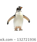 Gentoo Penguin Standing. Antarctic Wildlife And Conservation Symbol. Isolated On Transparent Background 132721936