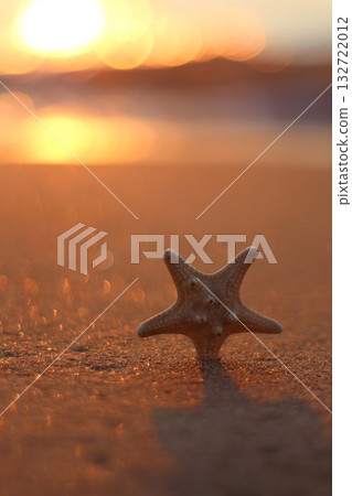 A lone starfish rests on a shimmering sandy beach during a golden sunset, with soft bokeh lights in the background. Concept of tranquil beauty and coastal serenity. A lone starfish rests on a shimmering sandy beach during a golden sunset, with soft bokeh lights in the background. Concept of tranquil beauty and coastal serenity. 132722012