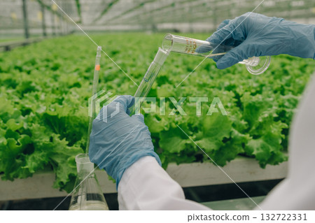 Laboratory food safety, Inspecting produce for safety, Technician measures solution on leafy vegetables precisely, Closeup of technician analyzing lettuce sample with pipette and vial in greenhouse 132722331
