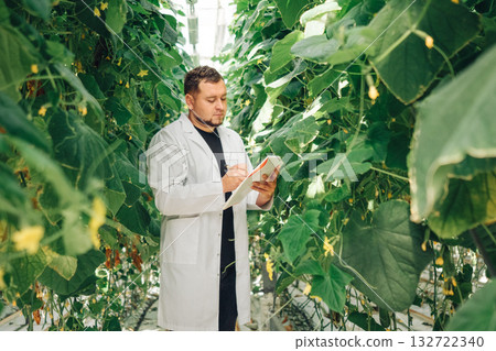 Gardener monitors plant environments closely, Agricultural technician observes crop development and climate, Field specialist employs electronic devices to track plant vitality and regulate watering 132722340
