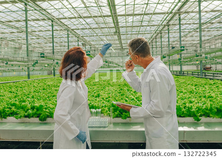 Research lettuce analysis, Laboratory investigation of leaf samples using pipette tools, Rigorous scientific procedures employed to analyze lettuce samples in specialized hydroponic research facility 132722345