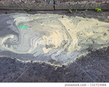 After a spring rain, there is yellow pollen foam in the puddle from the flowering trees. After a spring rain, there is yellow pollen foam in the puddle from the flowering trees. 132723066
