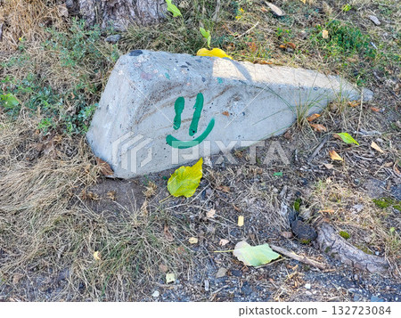 There's a large gray stone with a cheerful green face lying on the ground by the road. There's a large gray stone with a cheerful green face lying on the ground by the road. 132723084