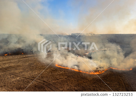 Wild fire burning everything on its way: grass, trees, bushes. Dangerous wildfire in field 132723253
